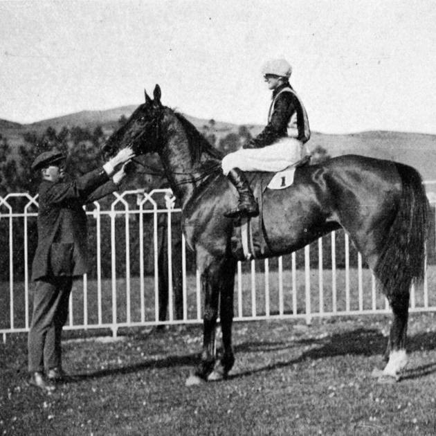 Mr J. Parsons' Yes, winner of the Kaikorai Handicap at the Dunedin Jockey Club's spring meeting at Wingatui on October 13 and 14. - Otago Witness, 25.10.1916. 