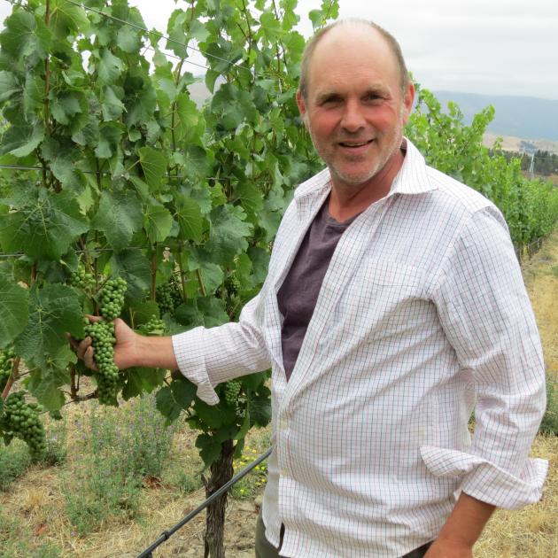 Bald Hills vineyard viticulturist Gary Crabbe was pleased when the vineyard's 2015 pinot noir won three trophies in a recent competition. Photo: Yvonne O'Hara