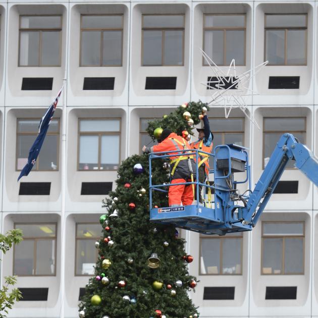 The Octagon Christmas tree went up in the Octagon yesterday afternoon, and will be lit on Friday....