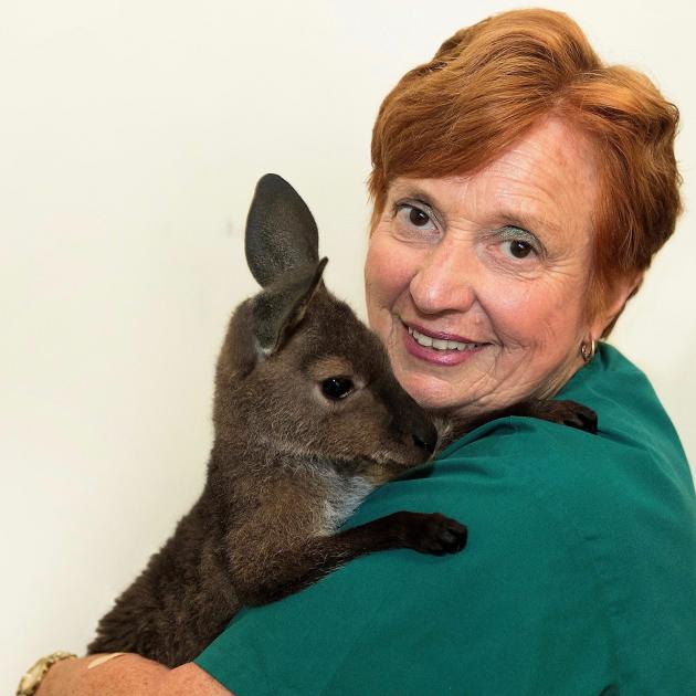 Rae Campbell with rescued kangaroo Faith. Photos: Supplied 