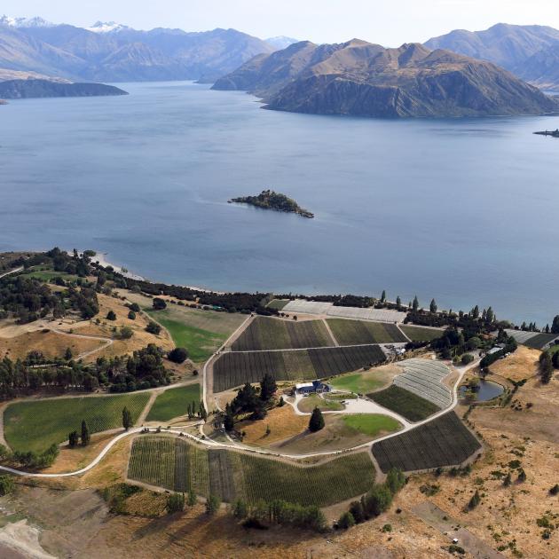 Wanaka and environs win destination of the year at Australian marketing awards. Photo: Stephen...