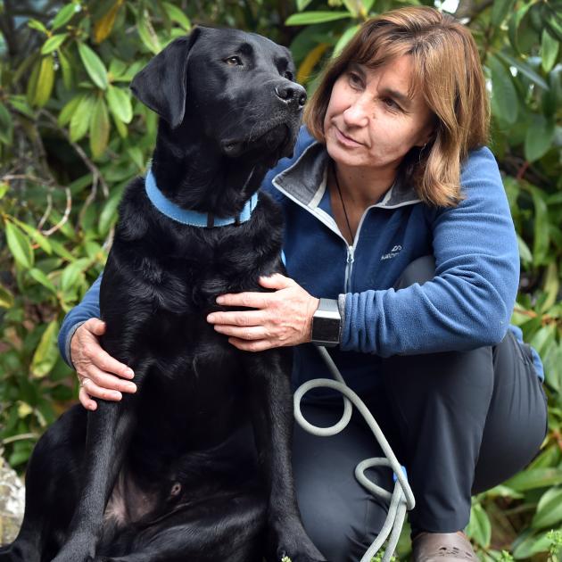 Dunedin resident Frankie Vella, who rescued her black Labrador, Finn, from a leg hold trap set by...