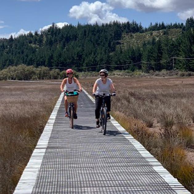 Cycling through mangroves on the longest boardwalk in New Zealand between  Okaihau-Horeke. PHOTOS...