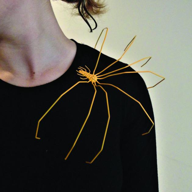 Michelle Wilkinson’s sea spider brooch. PHOTO: SUPPLIED