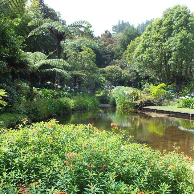 The large pond is a focal point at The Mamakus. Photos: Gillian Vine 