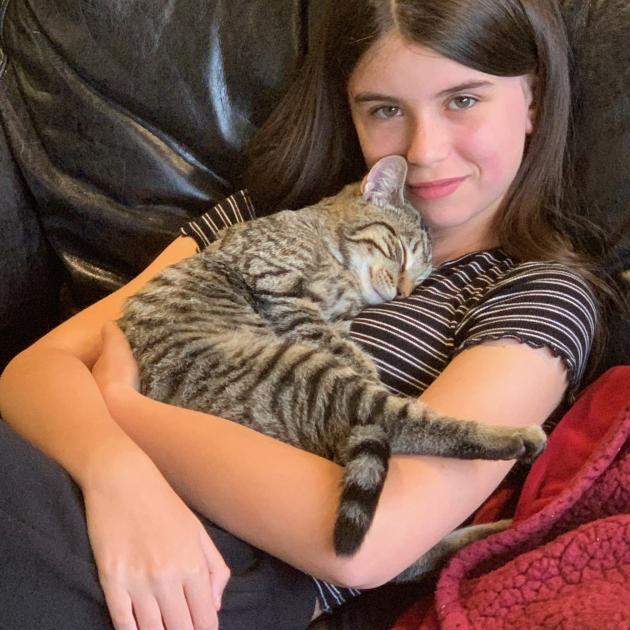 Isabella Long’s beloved cats Milo, Jasmine and D’arcy have disappeared in two-and-a-half years...