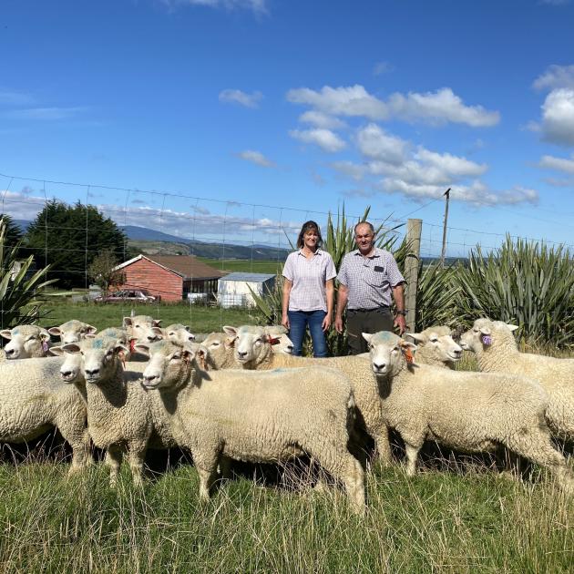 Fiona and Dean Addenbrooke inspect 15 ewes they recently bought from the Kikitangeo romney...
