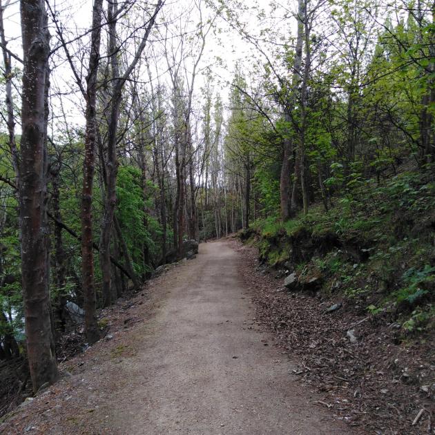 While visiting the region for the Eat.Taste.Central event, why not also try a cycle trail? PHOTO:...