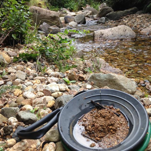 Gold-panning, Coromandel. PHOTOS: ELEANOR HUGHES