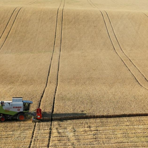 Wheat is harvested in a field near the village of Suvorovskaya in Russia's Stavropol region. File...