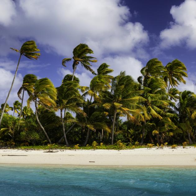 A New Zealand tourist was asleep in her Rarotonga hotel room when an Auckland man entered her...