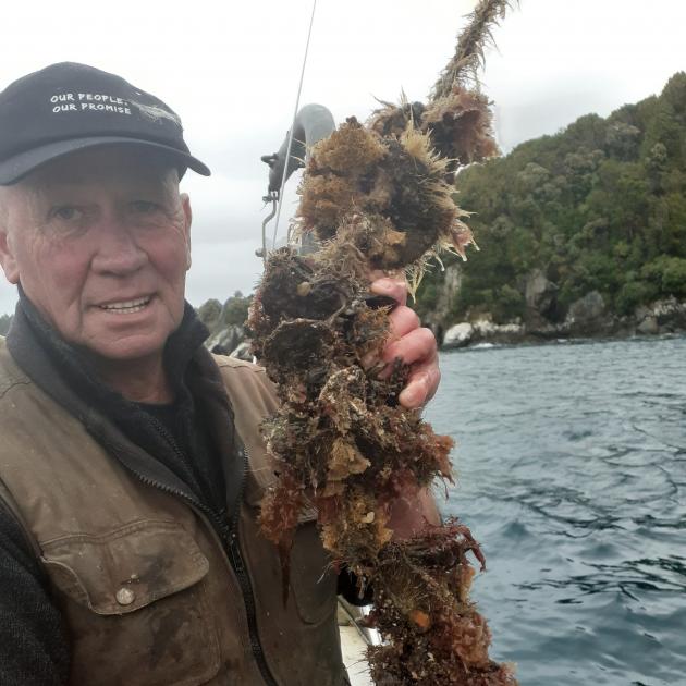 Richard Langdon with the oysters he farms in Stewart Island’s Horseshoe Bay. PHOTO: SUPPLIED