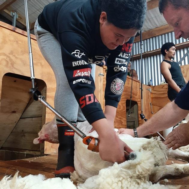 Papakura High School pupil Lagavale Emau Tupai (16) shears a sheep in West Otago.