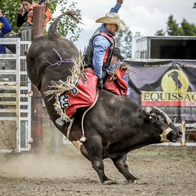 Bull rider Paddy Church competing at the Opotiki Rodeo in the North Island. Photo: Supplied