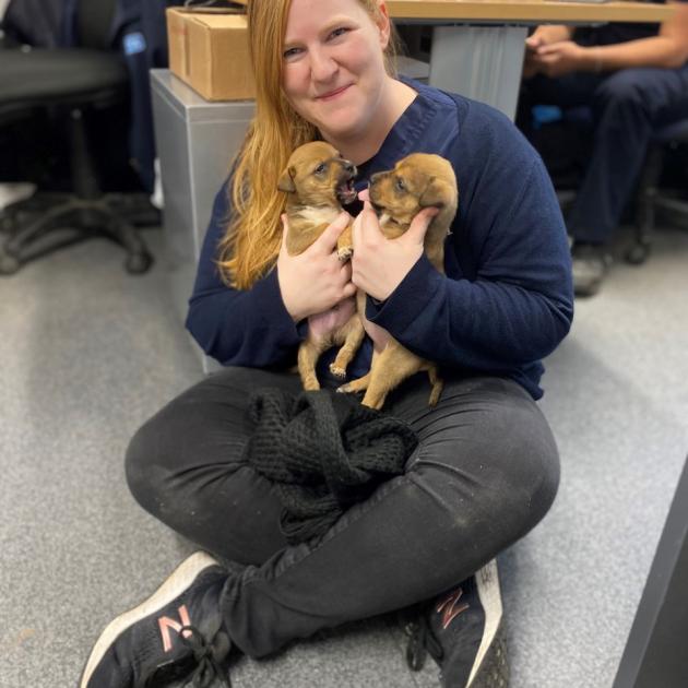 Jaz Crowther of the SPCA with Remus and Plimpy. Photo: Supplied