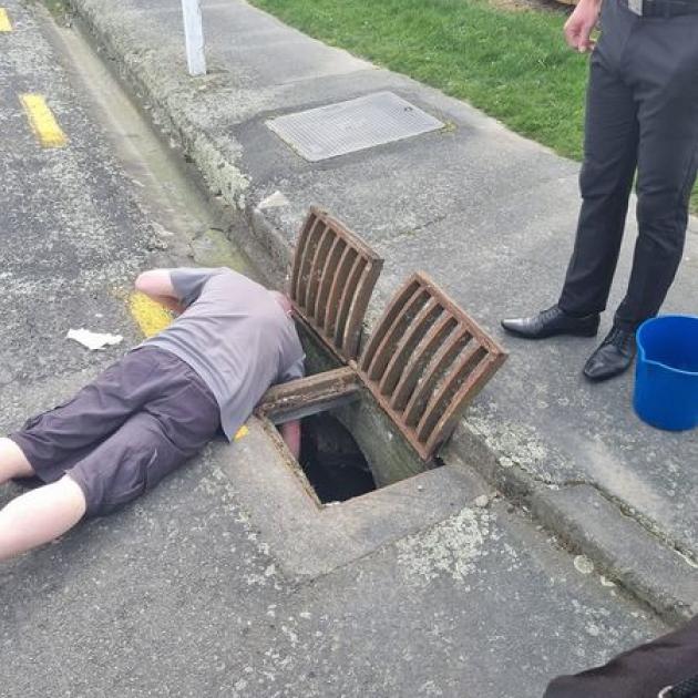 A group of strangers came together to help get the trapped ducklings out of the drain. Photo:...