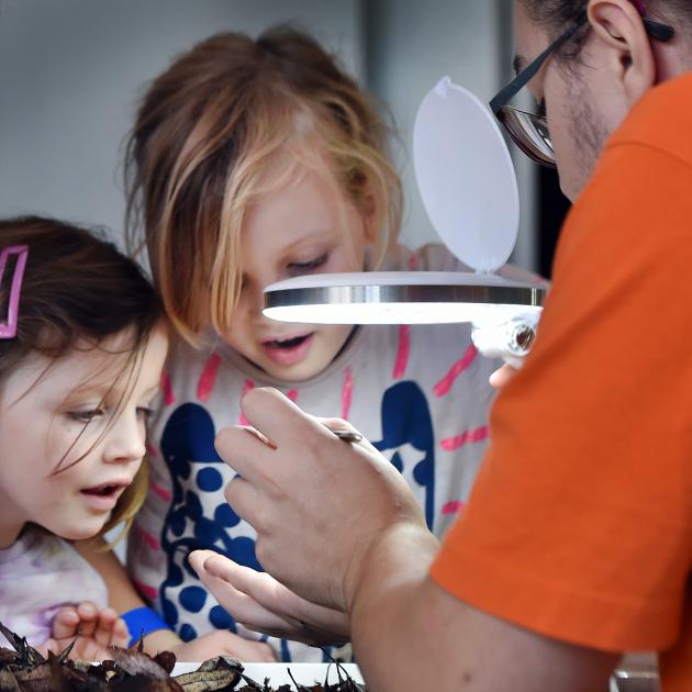 Wren McMahon (4, left) and Iris McMahon (6), of Christchurch, examine an insect with Louis...