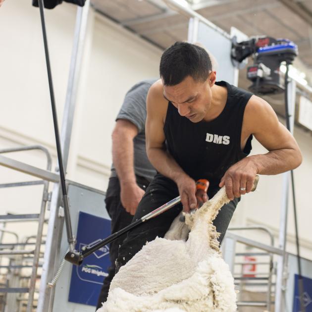 Open Shearing winner Leon Samuels competes in the teams event at the New Zealand Merino Shearing...