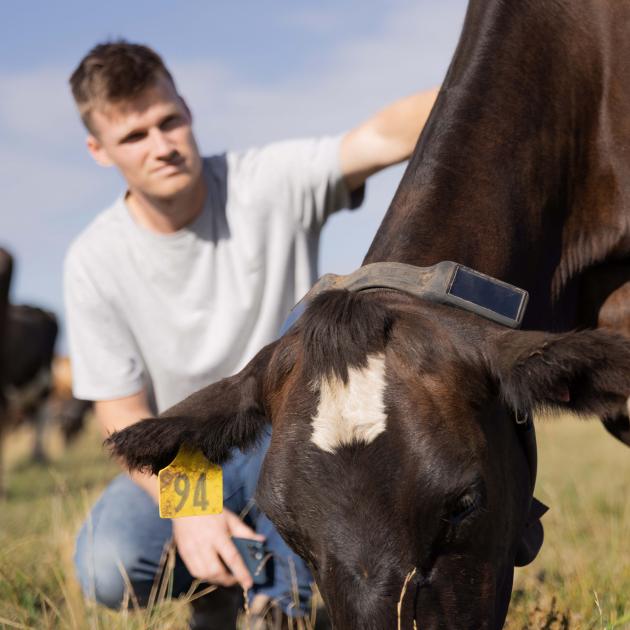 Halter founder Craig Piggott credits his time at Rocket Lab for contributing to his success with...