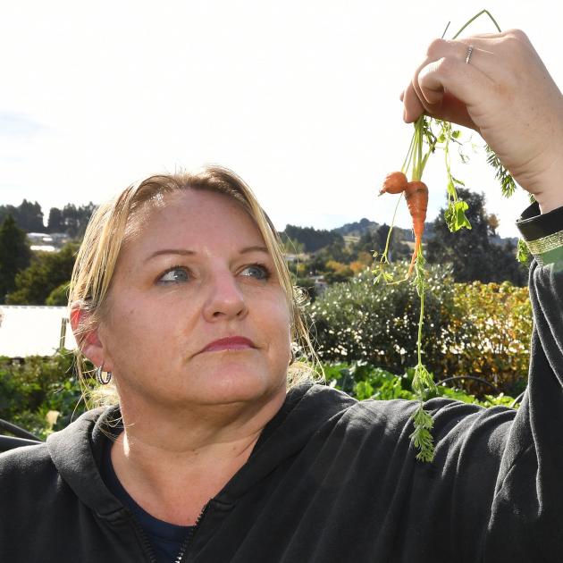 Greater Green Island community garden curator Jules Haldane holding leftover carrots after a...