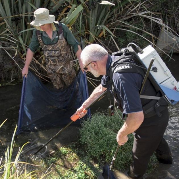 David Cook, left, from Kūmāna Environmental and Environment Canterbury’s Steve Carrick work to...