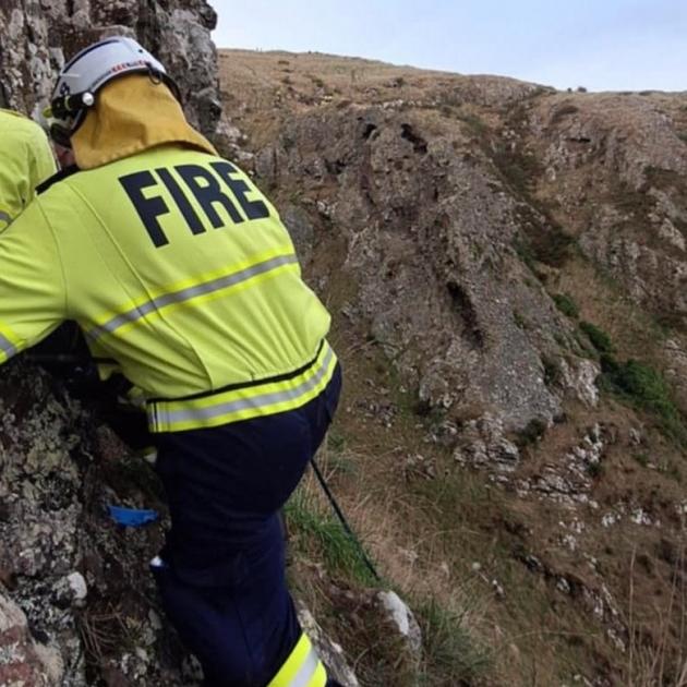 The rock climber was rescued after falling near Livingstone Bay in Lyttelton Harbour. Photo:...