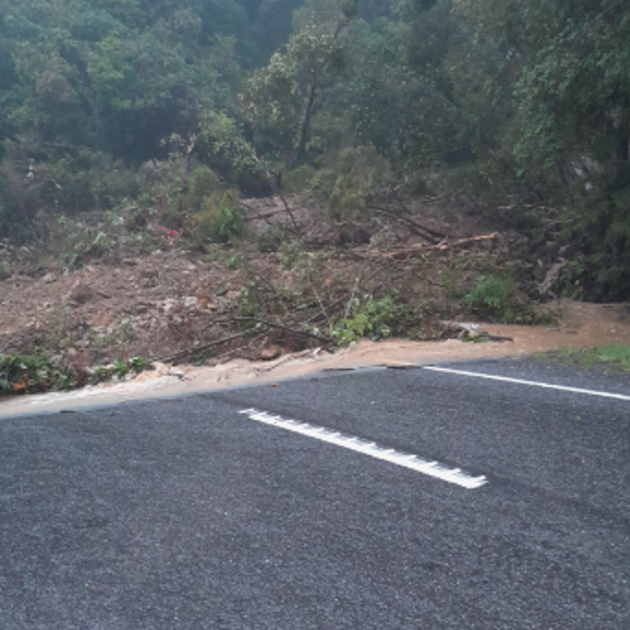 Trees and debris elsewhere along the SH6 route in the Fox Hills on Saturday. PHOTO: NZTA