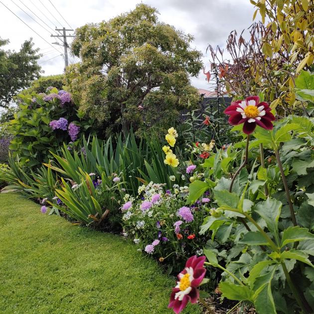 Amy Ritchie ensures year-round interest and colour in her garden.