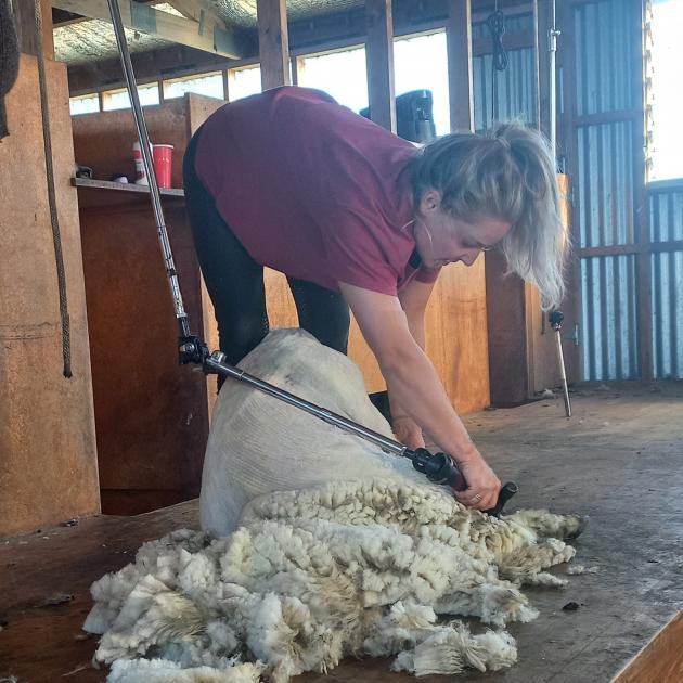 Jo Scott has a go at shearing a lamb. PHOTOS: SALLY RAE