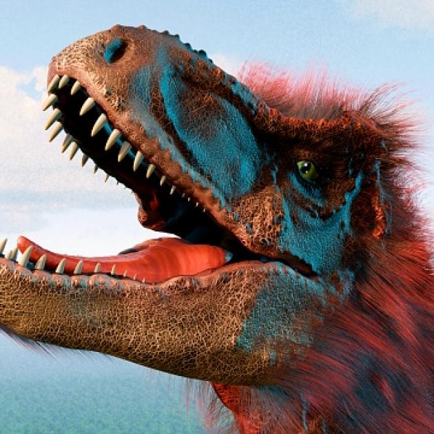 World-renowned University of Texas (Austin) Jackson School of Geosciences vertebrate...