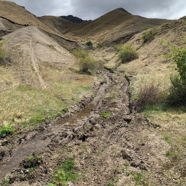 Off-road vehicle damage at Macetown Historic Reserve. PHOTO: DOC