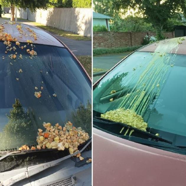 The flow of food was slowed by windscreen wipers on these vehicles. Photos: Supplied