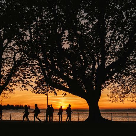 Sunset over Lake Constance. Photo: Christiane Setz