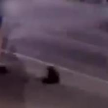 The SPCA has referred the incident to their inspectorate for investigation. Photo via NZ Herald...