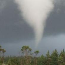 The tornado at Butlers Block, north of Ross, yesterday. Photo Geoff Cook
