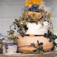 Bissy More and Andy Groom, from Wellington, were married at Bissy's family home in Broad Bay in October last year. Their cake was made from cheese rounds. Photo by O'Neill Photographics. Bissy More and Andy Groom, from Wellington, were married at Bissy's family home in Broad Bay in October last year. Their cake was made from cheese rounds. Photo by O'Neill Photographics.