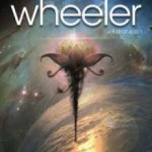 BURNT ICE<br><b>Steve Wheeler</b><br><i>Voyager</i> BURNT ICE<br><b>Steve Wheeler</b><br><i>Voyager</i>