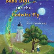 BABA DIDI AND THE GODWITS FLY<br><b>Nicola Muir, illustrations Annie Hayward</b><br><i>New Internationalist</i>