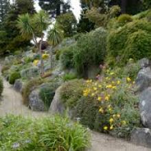 Dunedin's Botanic Garden is free to all.