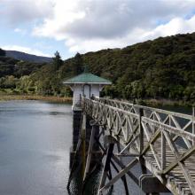 A view of the Ross Creek reservoir. Photo: ODT.