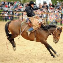 co29rodeo.JPG