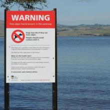 The health warning at Lake Waihola has now been lifted. Photo: file