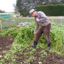 Keith Omelvena digs in mustard during winter. A green manure crop like mustard adds organic...
