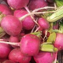 Radishes_and_beets_for_sale.JPG