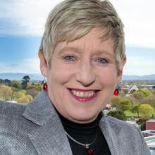 Mayor Lianne Dalziel say vicious political campaigns thrive online. Photo: Supplied.