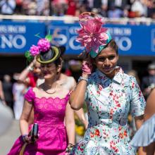 Punters can dress for fine weather during New Zealand Cup and Show Week.