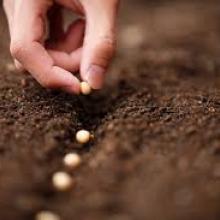 Pick the right time to plant seeds. Photo: Getty