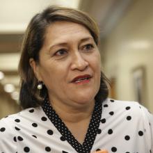 Meka Whaitiri has been down as Customs Minister pending an investigation. Photo: RNZ