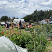 The māra kai, community garden, at Puketeraki Marae. Photos: supplied