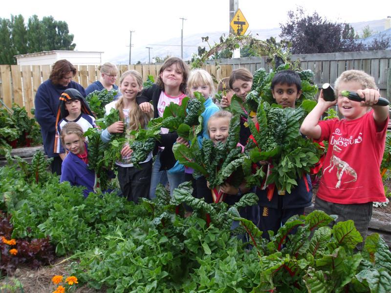 Growing community connections Otago Daily Times Online News